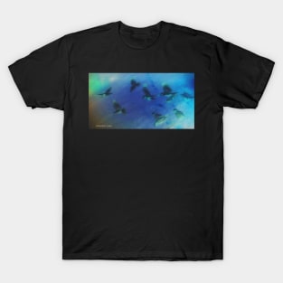 Feeling Blue T-Shirt